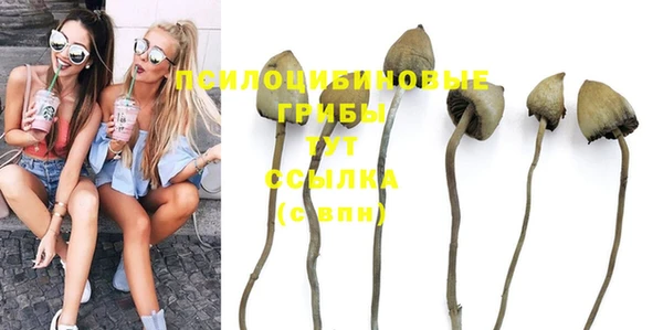 дмт Алексеевка