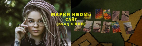 СК Алексин