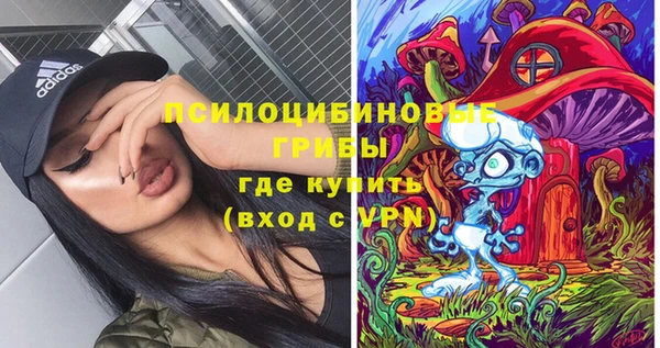 дмт Алексеевка