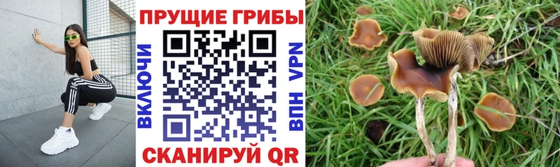 Галлюциногенные грибы MAGIC MUSHROOMS ссылка на мегу Кола