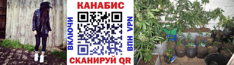 МАРИХУАНА MAZAR  Кола 